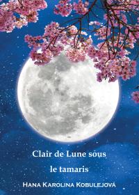 Clair de Lune sous  le tamaris